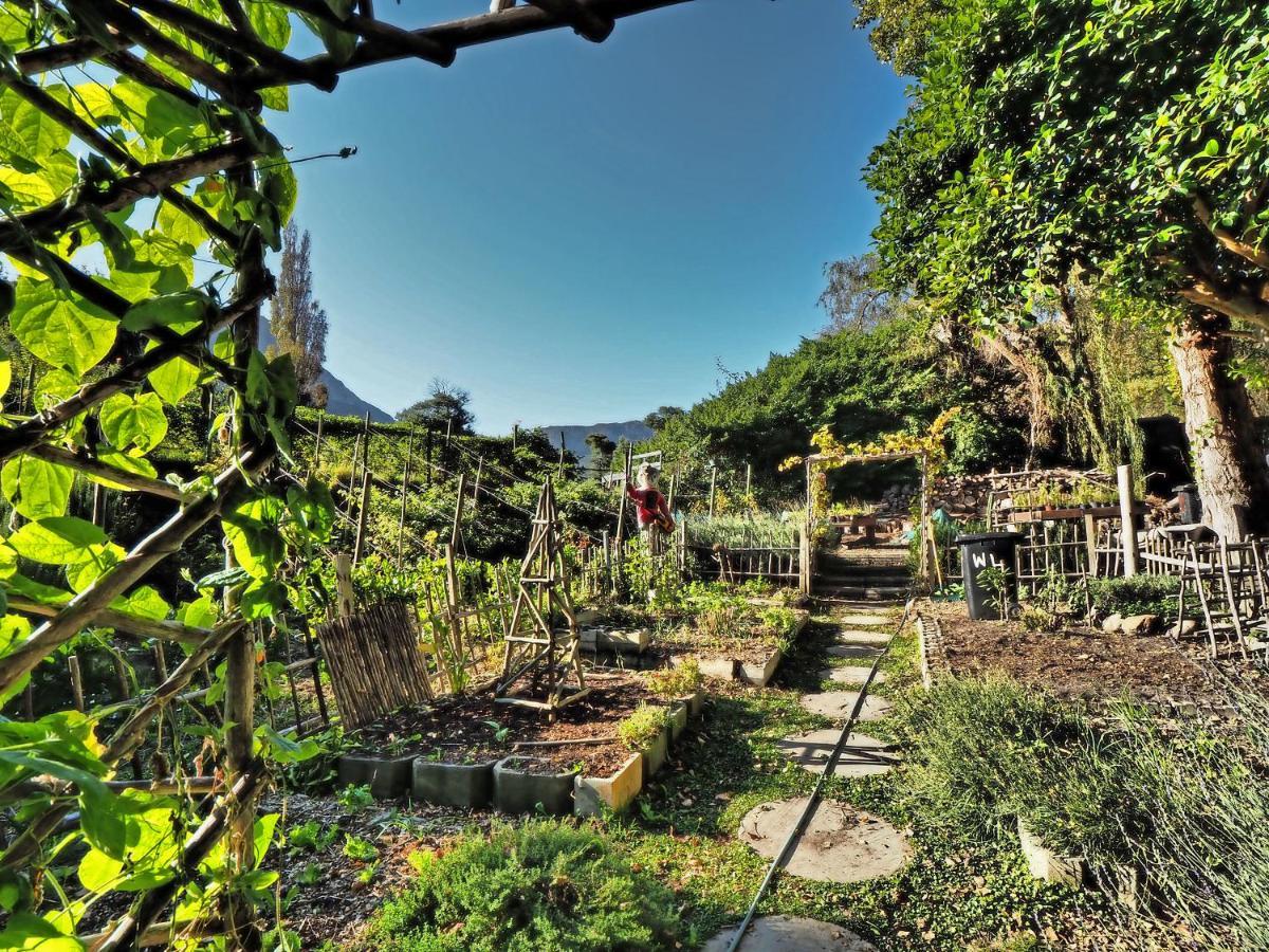 Waterland * Hout Bay