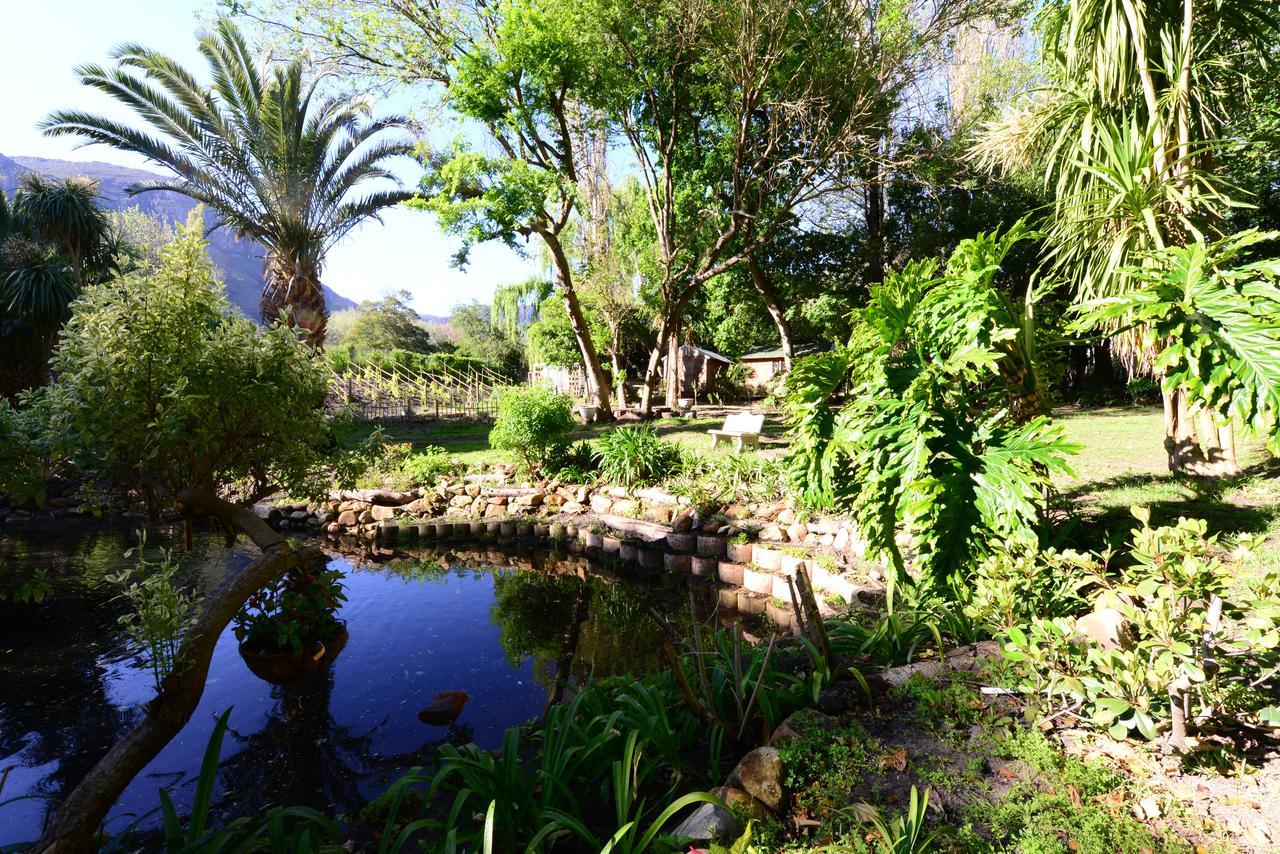 Waterland * Hout Bay