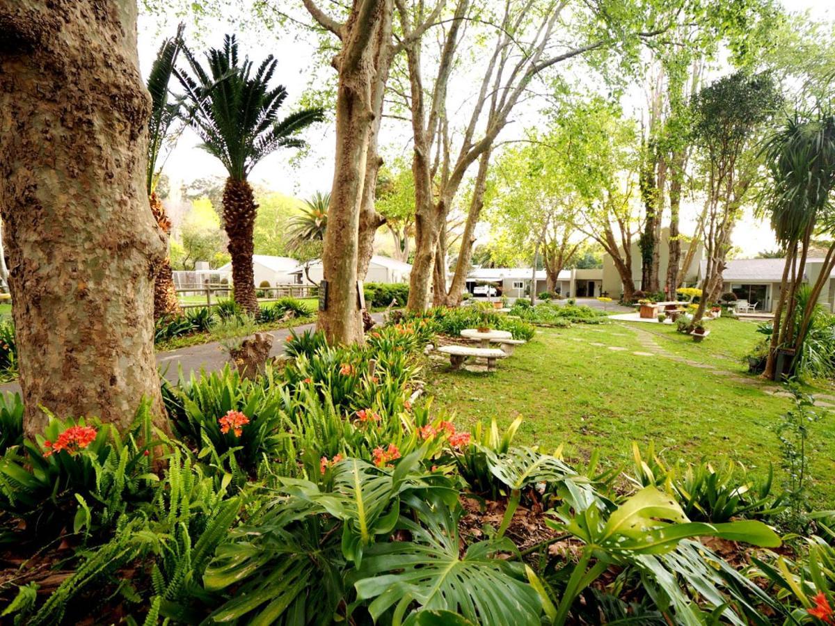 Waterland Hout Bay